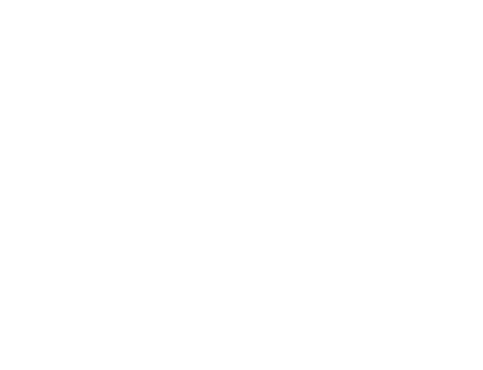 CALCIO MINING COMPANY